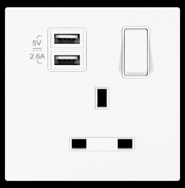 13A 1 Gang Single Pole Switched Socket Outlet with USB TypeA&TypeA