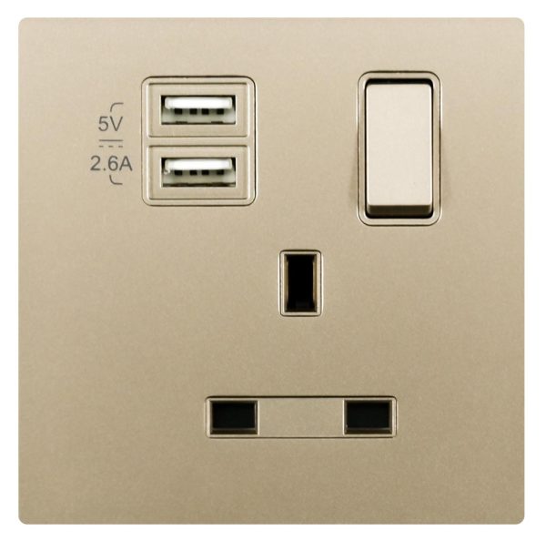 13A 1 Gang Single Pole Switched Socket Outlet with USB TypeA&TypeA